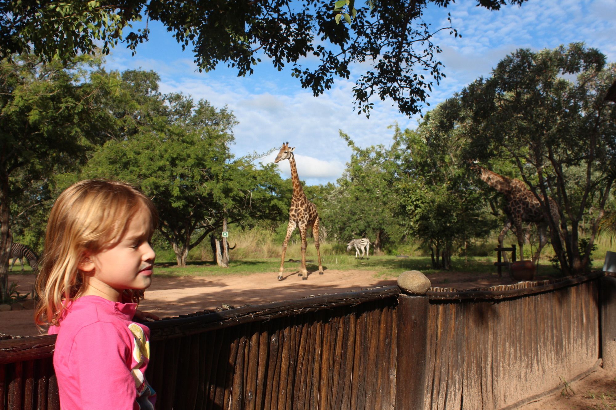 Thornhill Safari Lodge Hoedspruit Eksteriør bilde