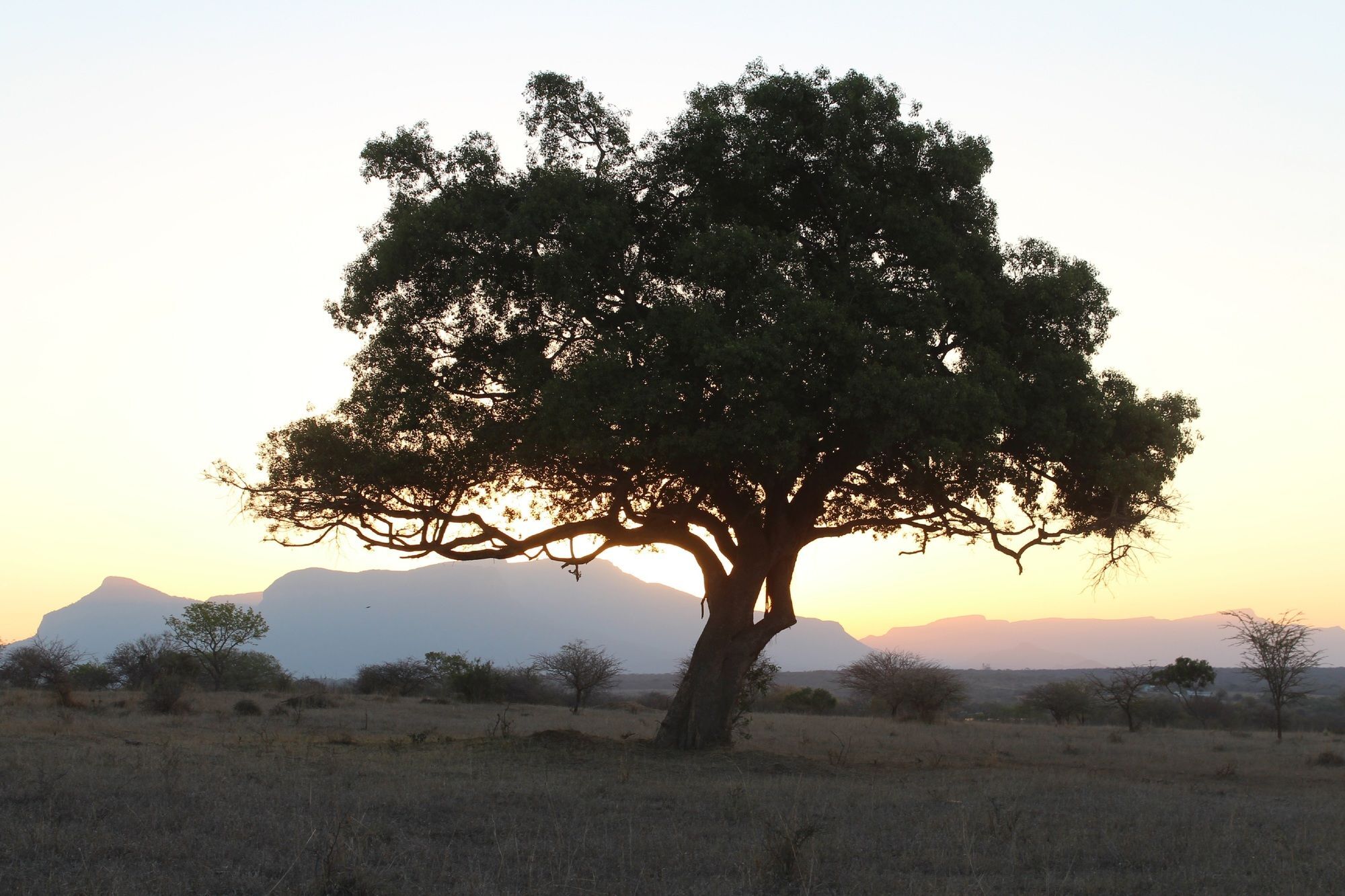 Thornhill Safari Lodge Hoedspruit Eksteriør bilde