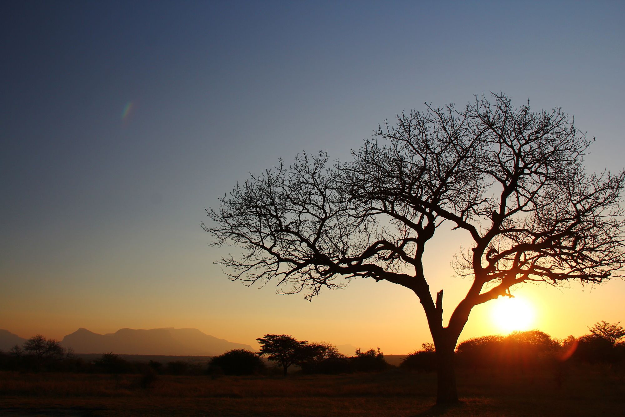 Thornhill Safari Lodge Hoedspruit Eksteriør bilde